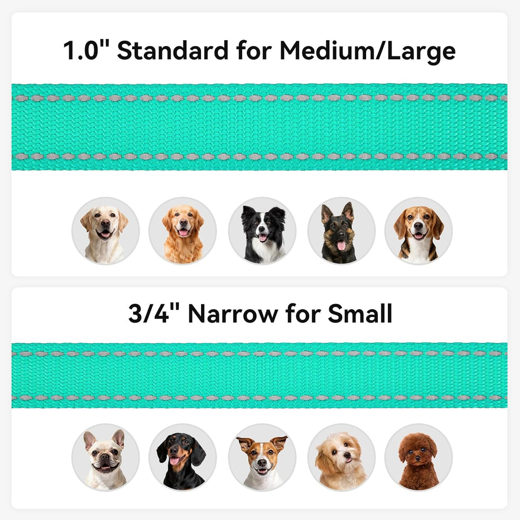 Joytale Reflective Dog Leash for Medium & Large Dogs, 6 FT x 1", Turquoise