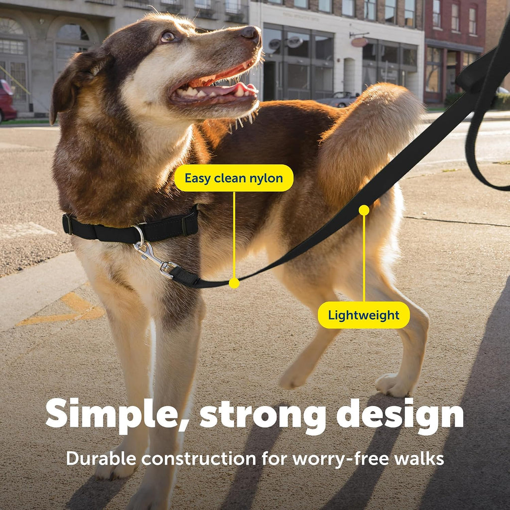 PetSafe Nylon Dog Leash - Strong, Durable, Traditional Style Leash with Easy to Use Bolt Snap - 3/8 in. x 6 ft., Black