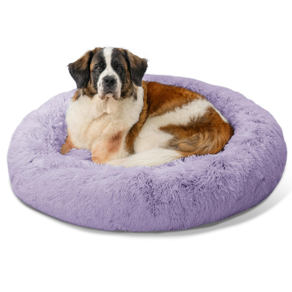 Best Friends by Sheri Original Calming Donut Dog Bed, Oyster, Small, 23"