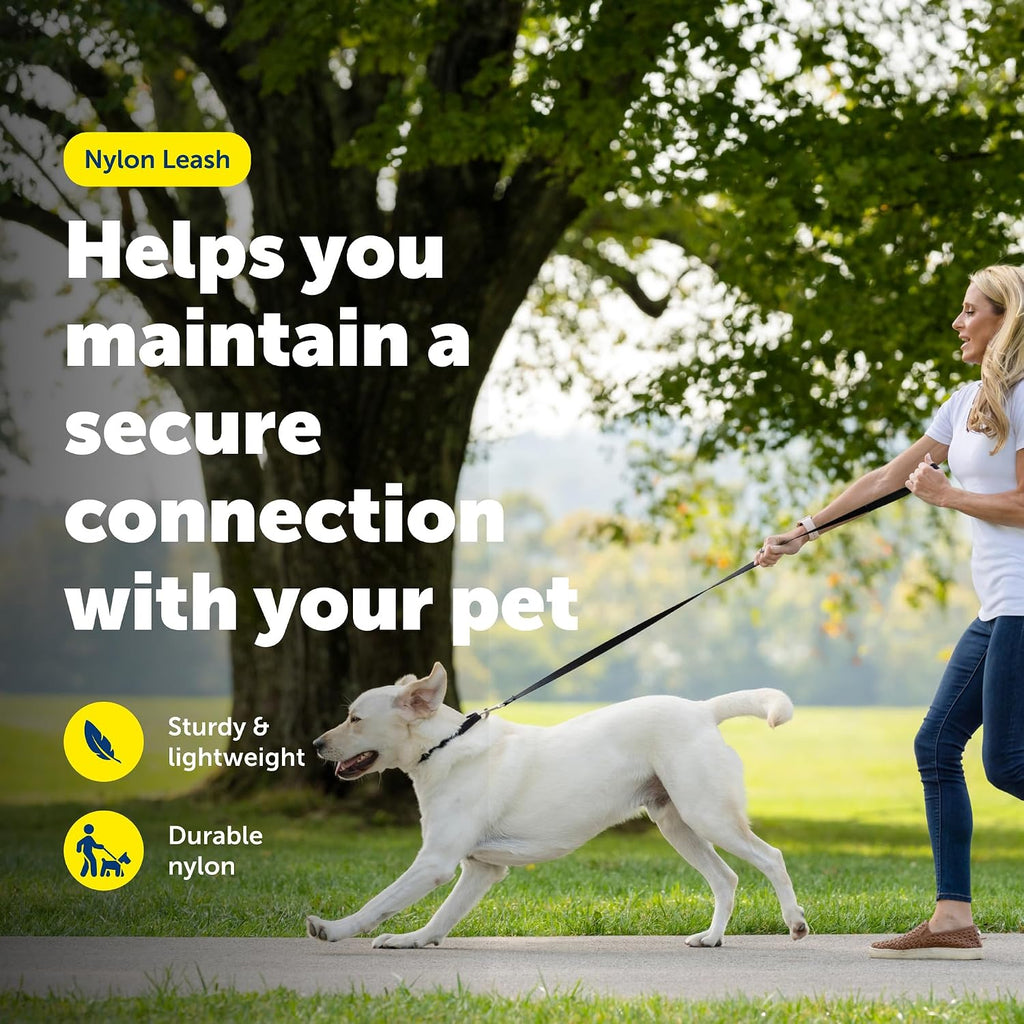 PetSafe Nylon Dog Leash - Strong, Durable, Traditional Style Leash with Easy to Use Bolt Snap - 3/8 in. x 6 ft., Black