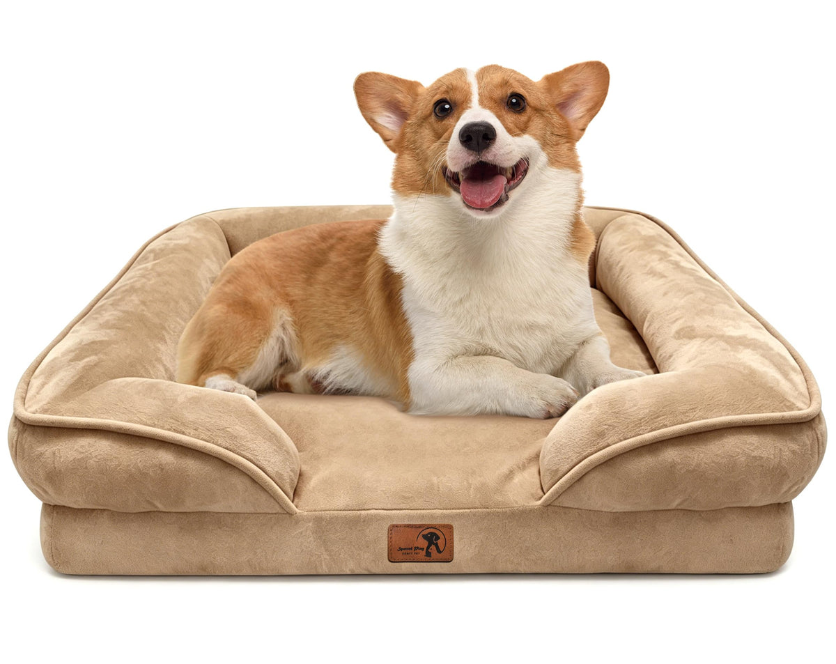 Spotted Play Orthopedic Dog Bed with Sides - Dog Sofa Beds for Medium Dogs, Supportive Foam Pet Couch Bed with Washable Removable Cover, Waterproof Lining and Non-Slip Bottom, Grey - M