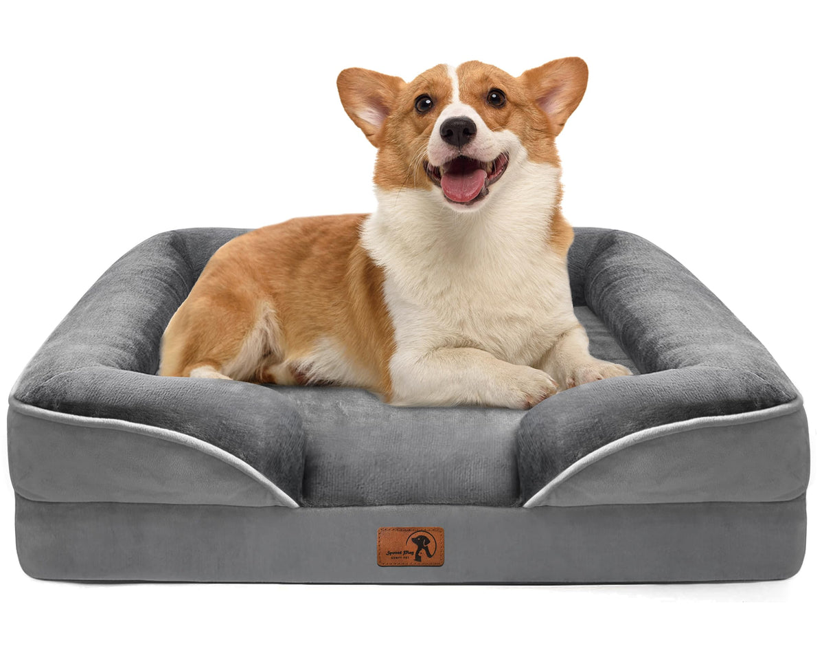 Spotted Play Orthopedic Dog Bed with Sides - Dog Sofa Beds for Medium Dogs, Supportive Foam Pet Couch Bed with Washable Removable Cover, Waterproof Lining and Non-Slip Bottom, Grey - M