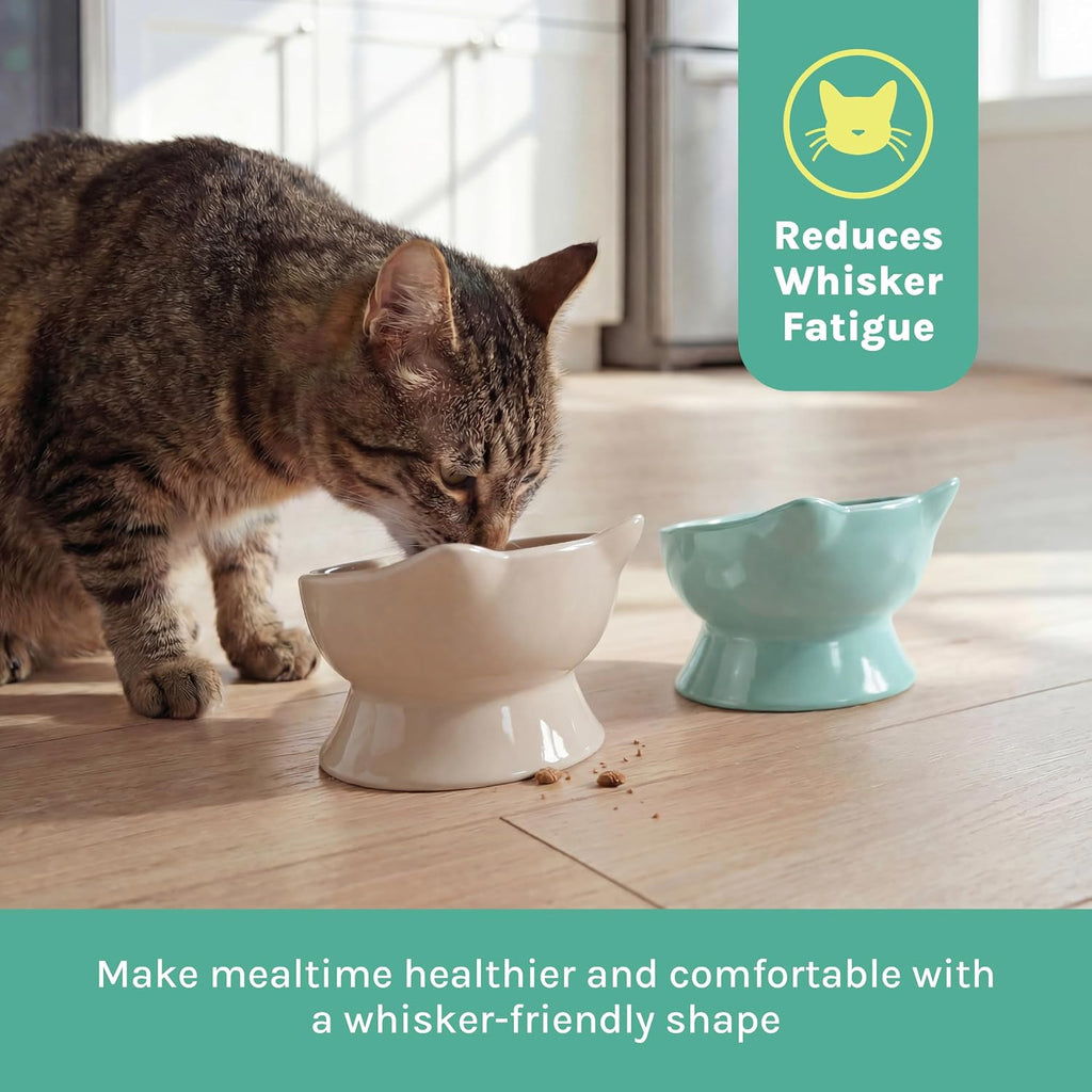 Kitty City Elevated Cat Bowls (Set of 2), Whisker-Friendly Raised Cat Food & Water Dishes, Modern Pedestal Design, Dishwasher Safe, 6.5 oz Each – Pink & Teal