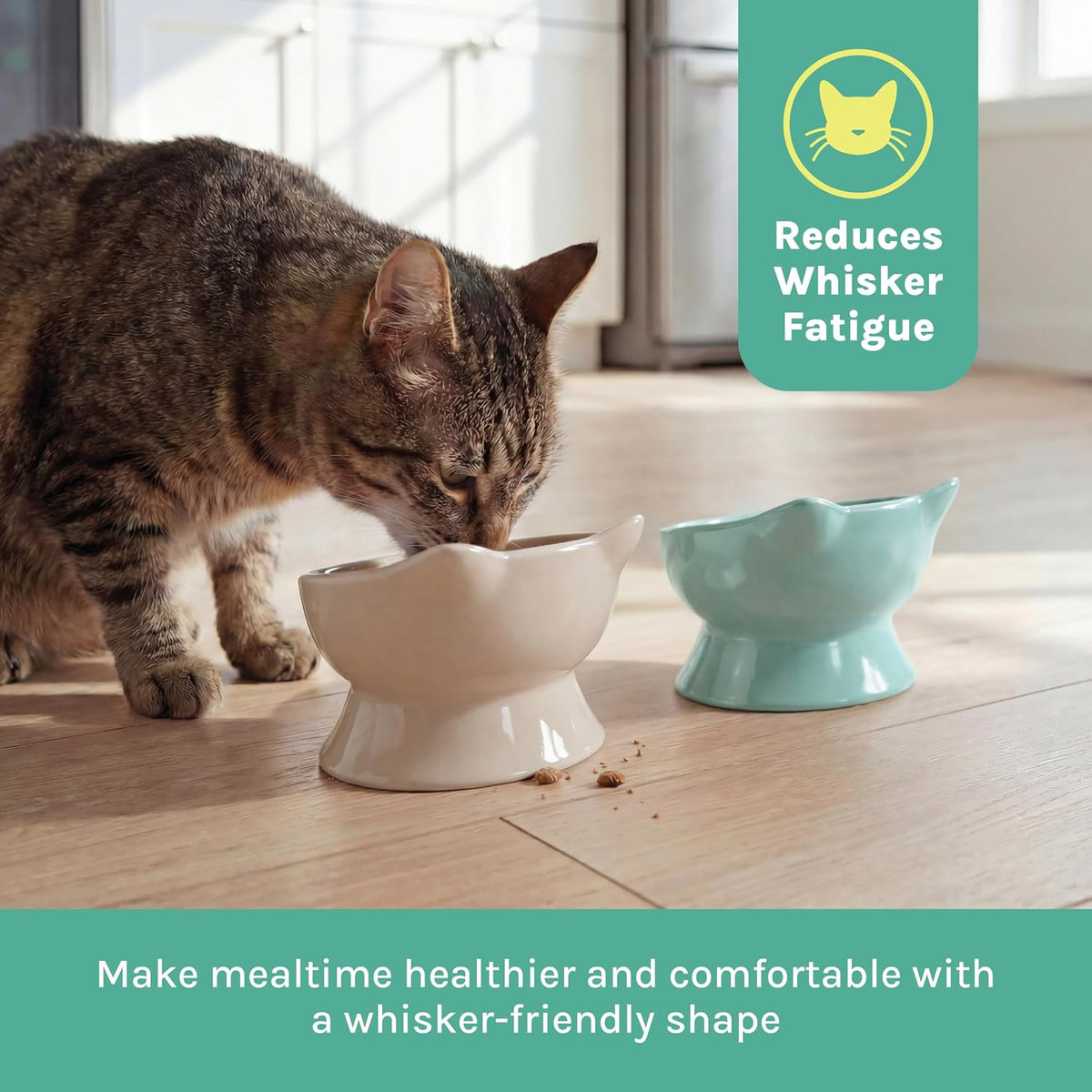 Kitty City Elevated Cat Bowls (Set of 2), Whisker-Friendly Raised Cat Food & Water Dishes, Modern Pedestal Design, Dishwasher Safe, 6.5 oz Each – Pink & Teal