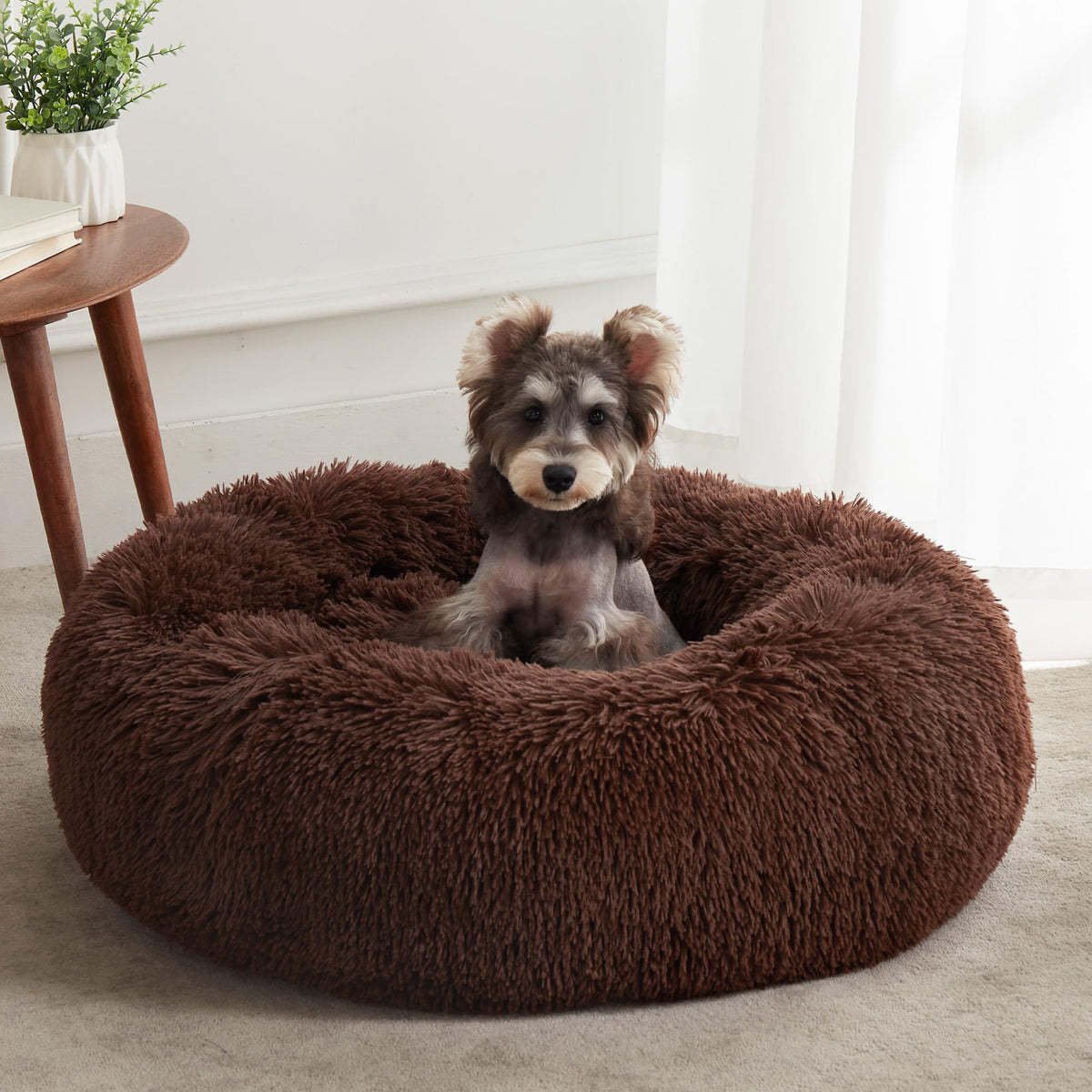 WESTERN HOME WH Calming Soft Round Dog &Cat Bed Small Dog Bed Washable,20"