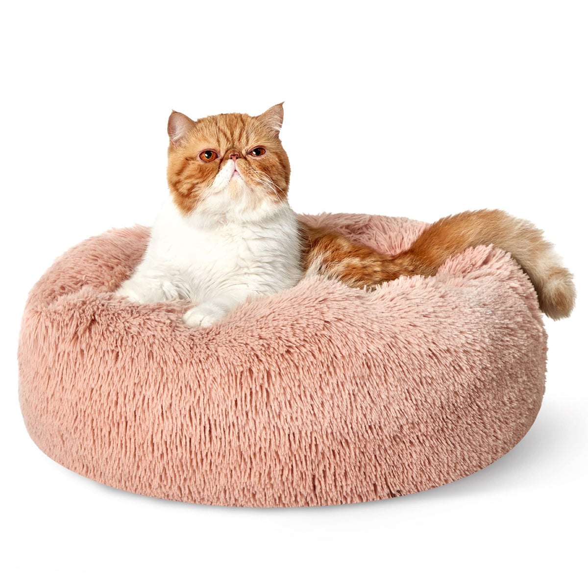 Bedsure Calming Cat Beds Donut Round Washable Kitten Bed,20 inches Camel