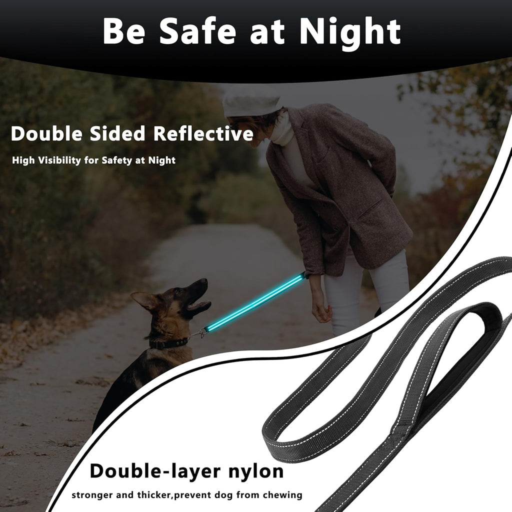 Dog Leash 4ft Long,Double Handle Dog Leash for Control Training