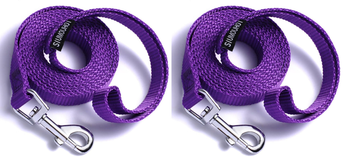 6 FT Puppy Leashes, Strong Traditional Style Leash with Easy to Use Collar Hook,Dog Lead Great for Small and Medium and Large Dog (Mint Blue, 5/8 in x 6 ft)