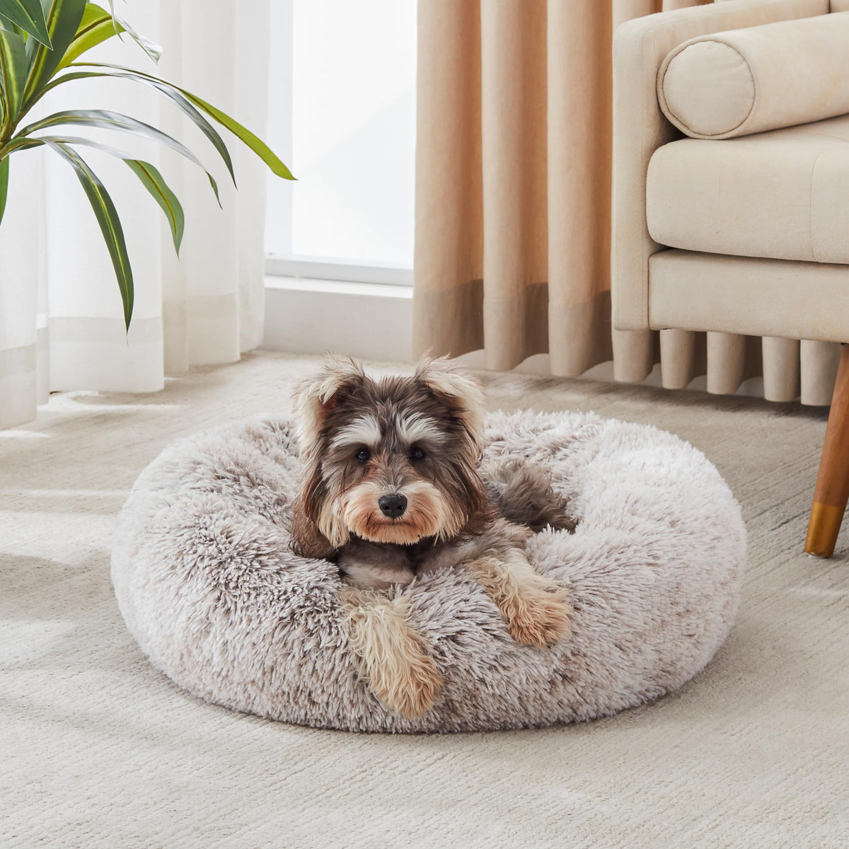 WESTERN HOME WH Calming Dog Bed & Cat Bed Washable Puppy Bed,24" Light Grey