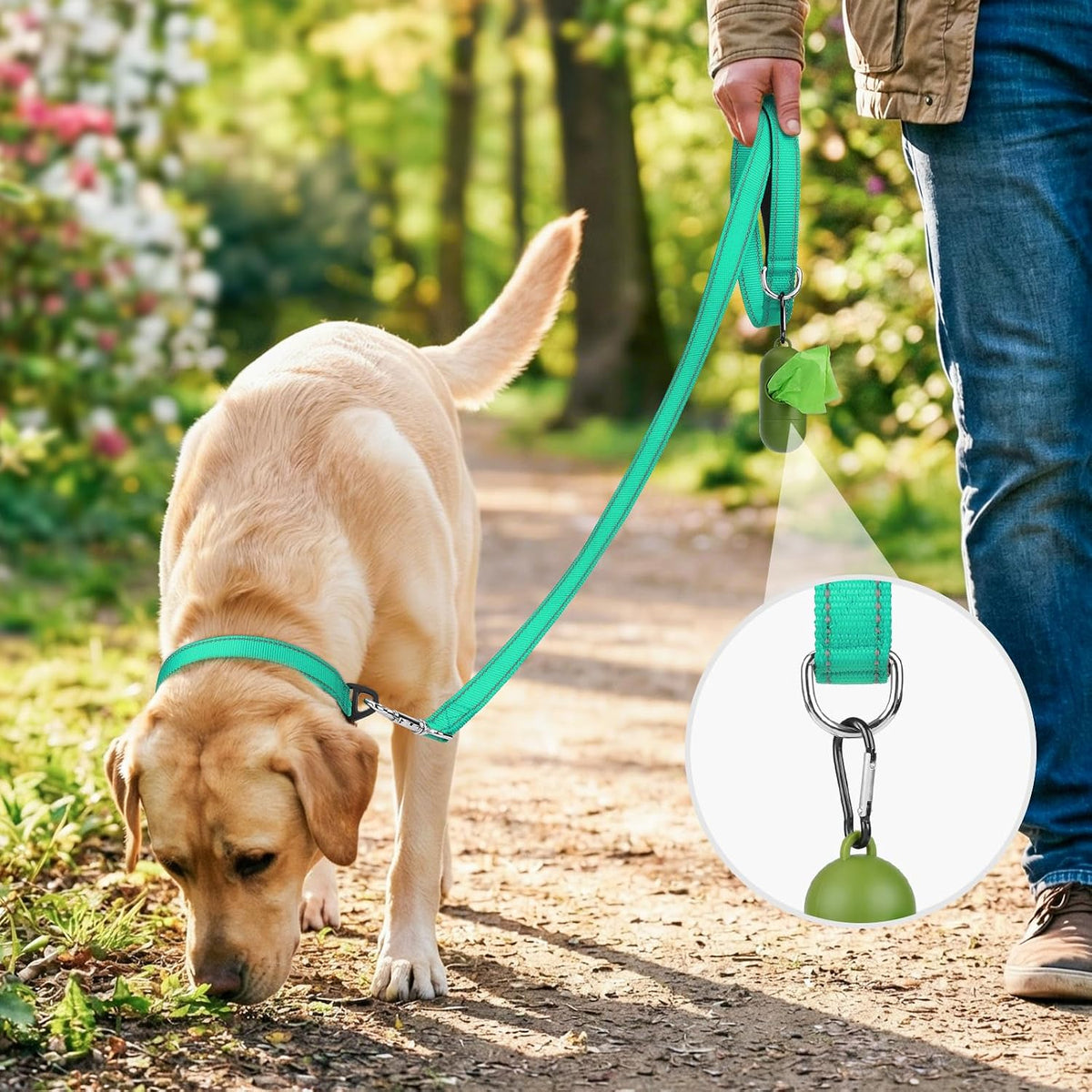 Joytale Reflective Dog Leash for Medium & Large Dogs, 6 FT x 1", Turquoise