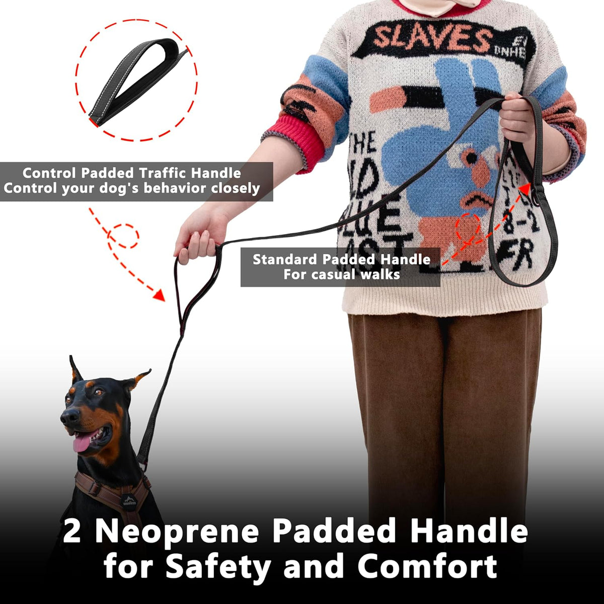 Dog Leash 4ft Long,Double Handle Dog Leash for Control Training