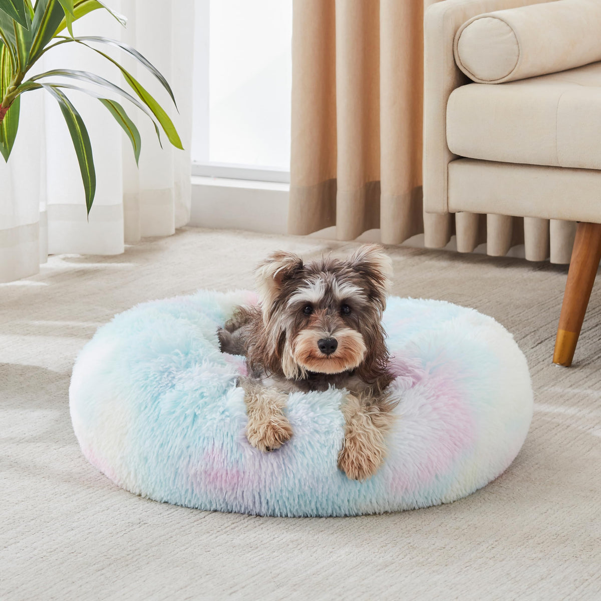 WESTERN HOME WH Calming Dog Bed & Cat Bed Washable Puppy Bed,24" Light Grey