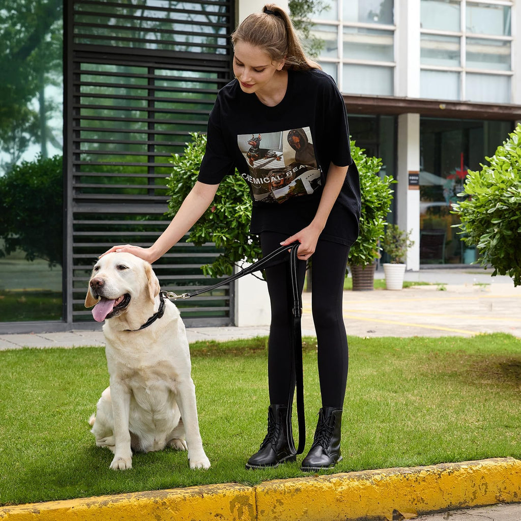 6 FT Black Nylon Reflective Dog Leash for Large Dogs with 2 Padded Handle