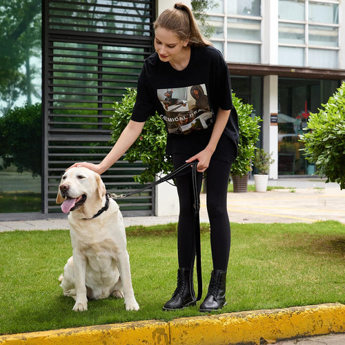 6 FT Black Nylon Reflective Dog Leash for Large Dogs with 2 Padded Handle