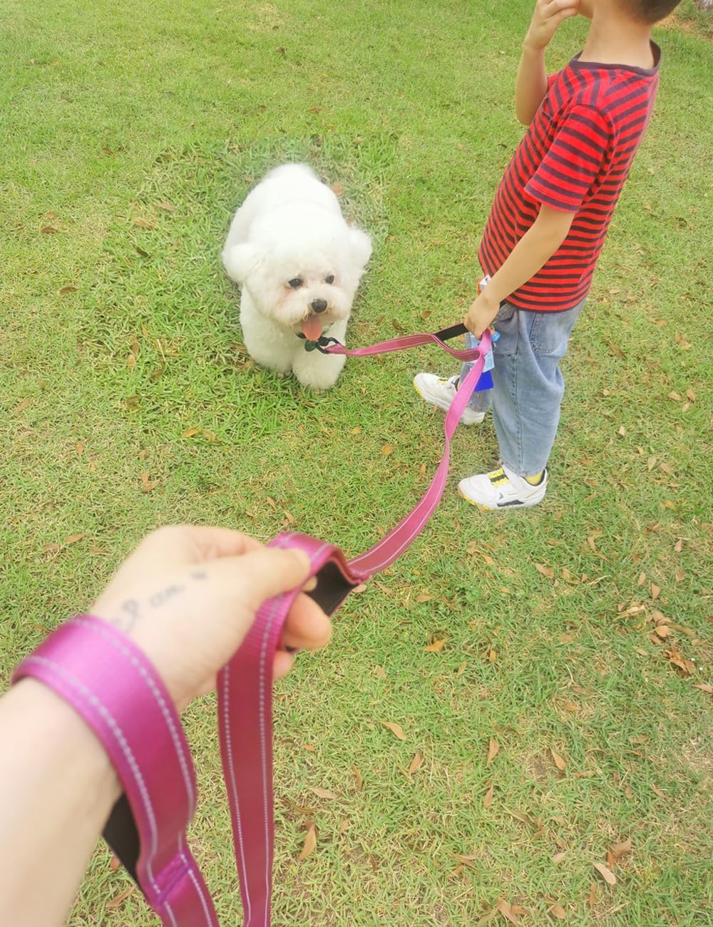 3 Handle Dog Leash 10FT Triple Handle Reflective Large Medium Dog