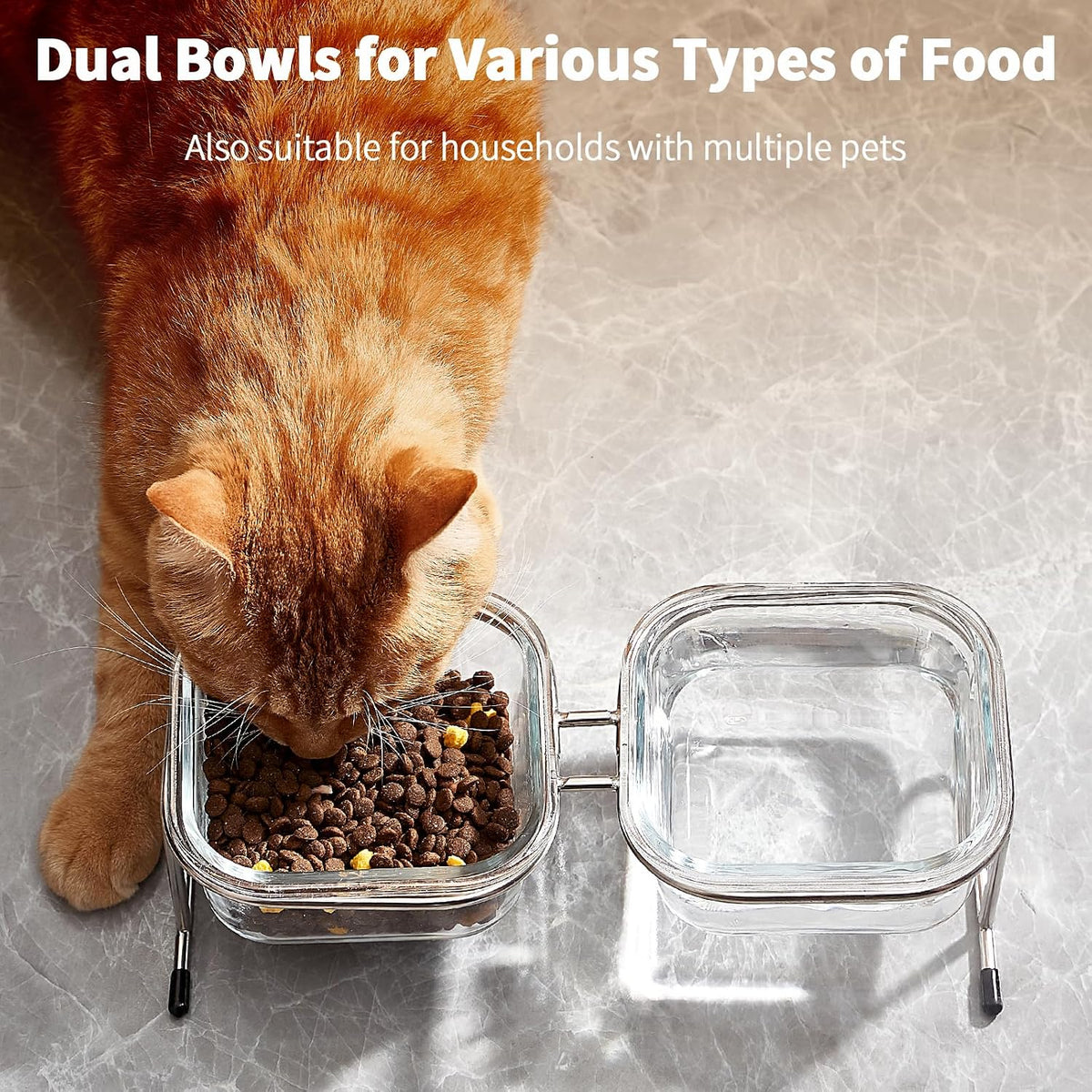 Elevated Cat Bowls, 15° Tilted Glass Raised Cat Food and Water Bowl