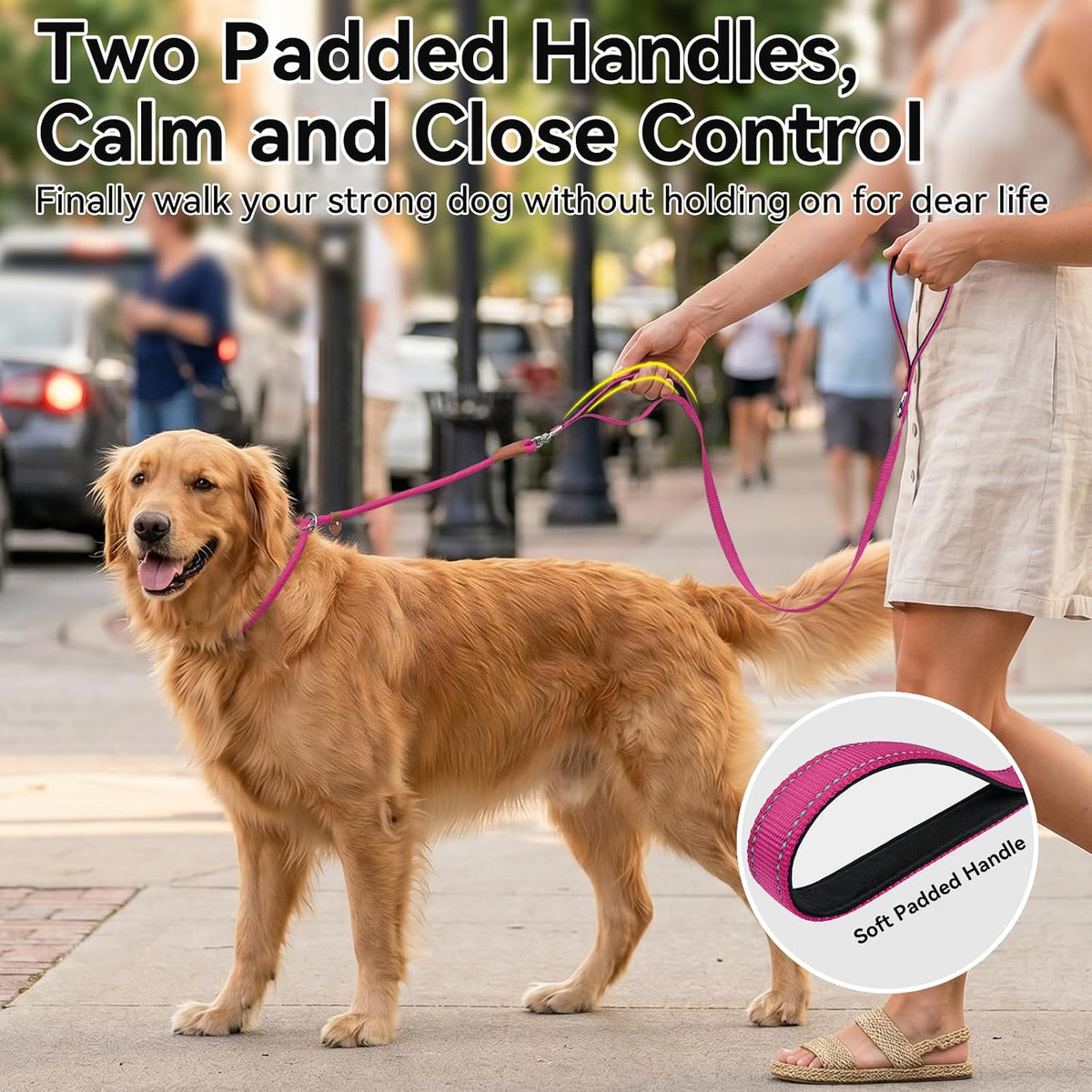 Joytale Slip Lead Dog Leash with Dual Handle, No Pull, Hot Pink, 6FT x 3/8"