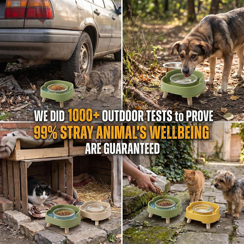 2 Pack Ant Not Cross Elevated Cat Bowls Mess Proof-4 Food Grade Glass Bowls & 2 Lids- No Spill Cat Food and Water Feeding Station for Cats&Puppy Indoor & Outdoor,No Whisker Fatigue Dish,Green