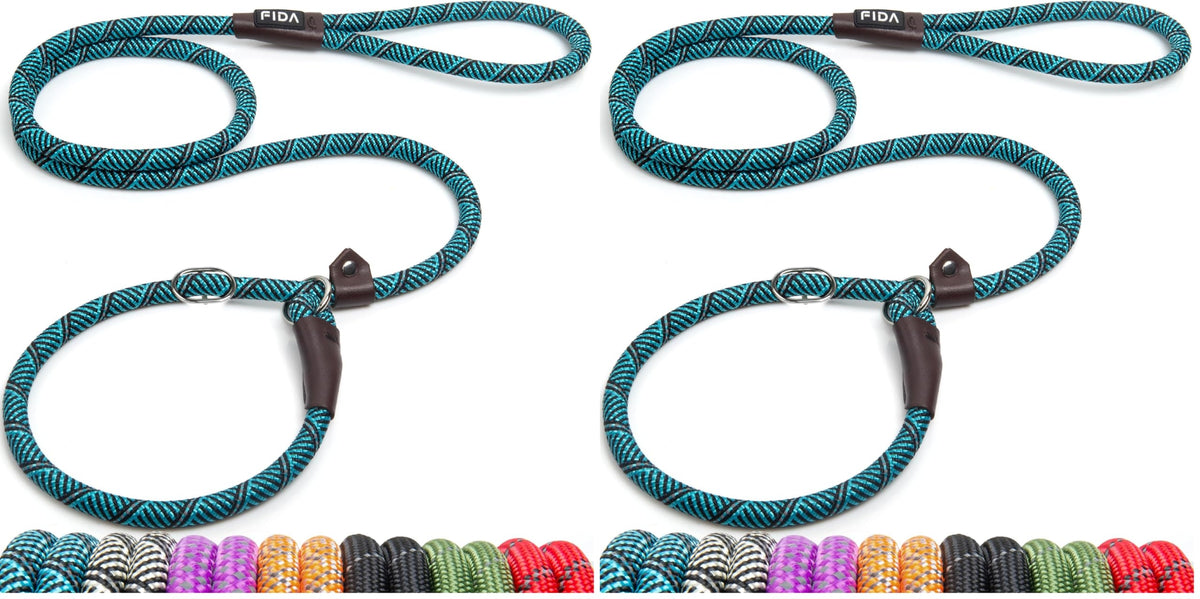 Fida Durable Slip Lead Dog Leash, 6 FT x 1/2" Dog Training Leash, Green
