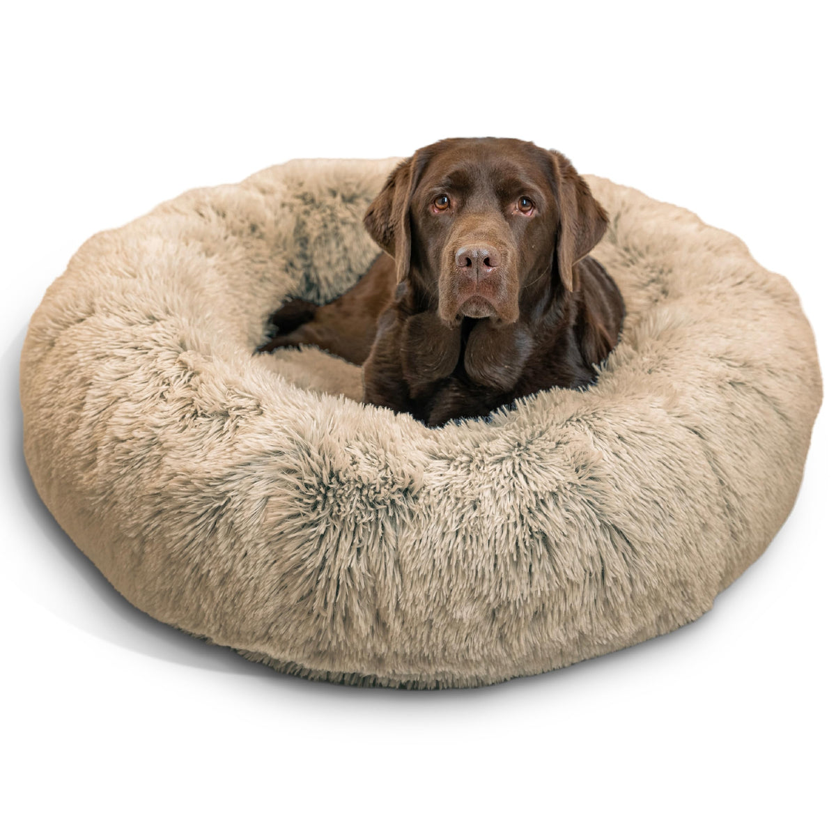 Best Friends by Sheri Original Calming Donut Dog Bed, Oyster, Small, 23"