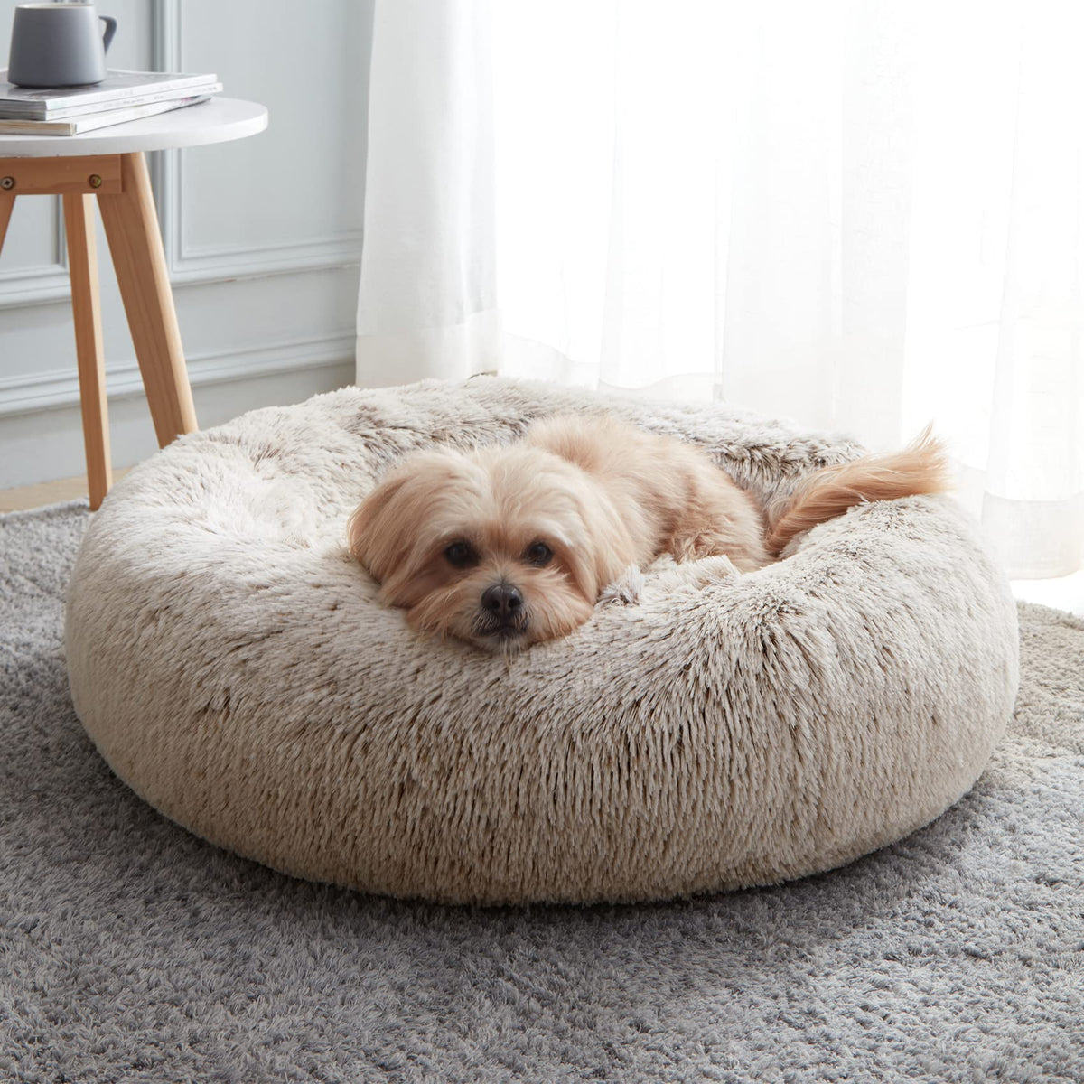 WESTERN HOME WH Calming Soft Round Dog &Cat Bed Small Dog Bed Washable,20"