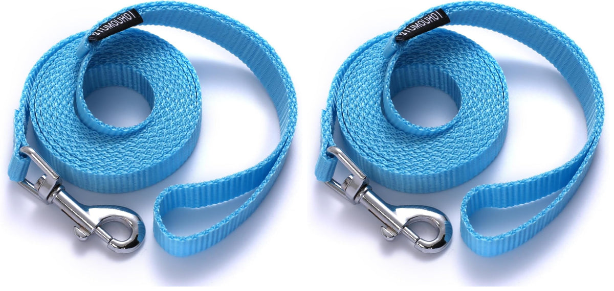 6 FT Puppy Leashes, Strong Traditional Style Leash with Easy to Use Collar Hook,Dog Lead Great for Small and Medium and Large Dog (Mint Blue, 5/8 in x 6 ft)