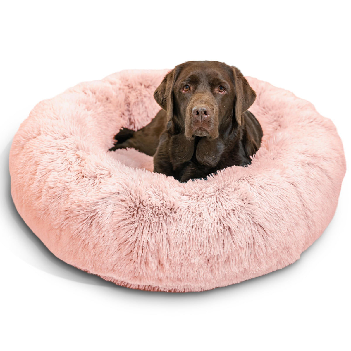 Best Friends by Sheri Original Calming Donut Dog Bed, Oyster, Small, 23"