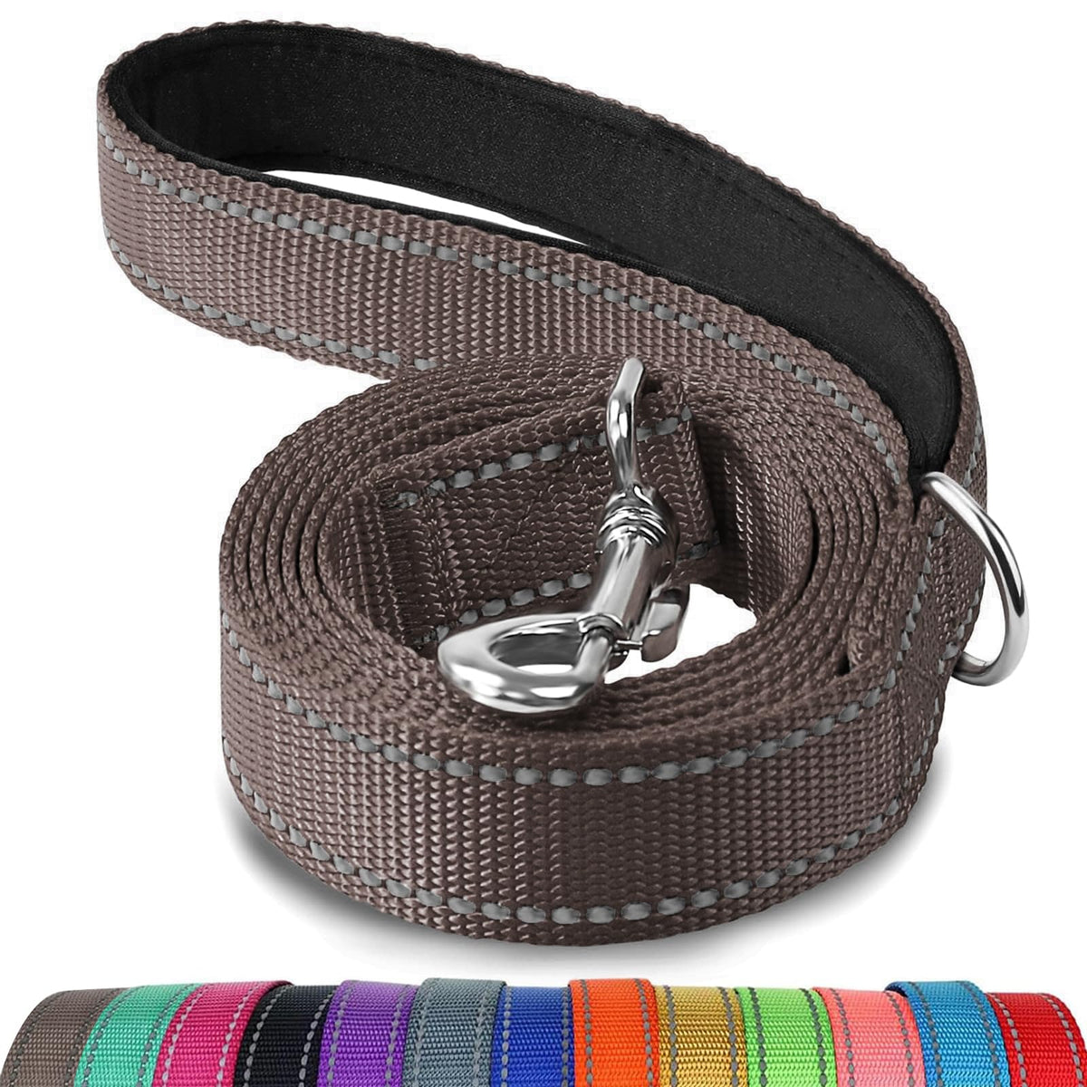 Joytale Reflective Dog Leash for Medium & Large Dogs, 6 FT x 1", Turquoise