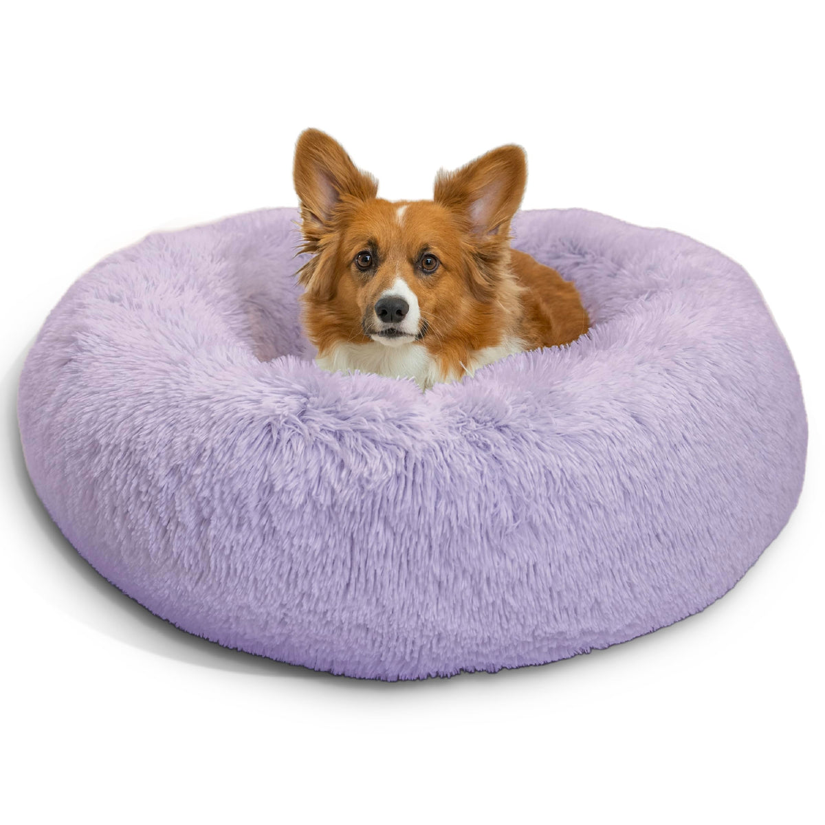 Best Friends by Sheri Original Calming Donut Dog Bed, Oyster, Small, 23"