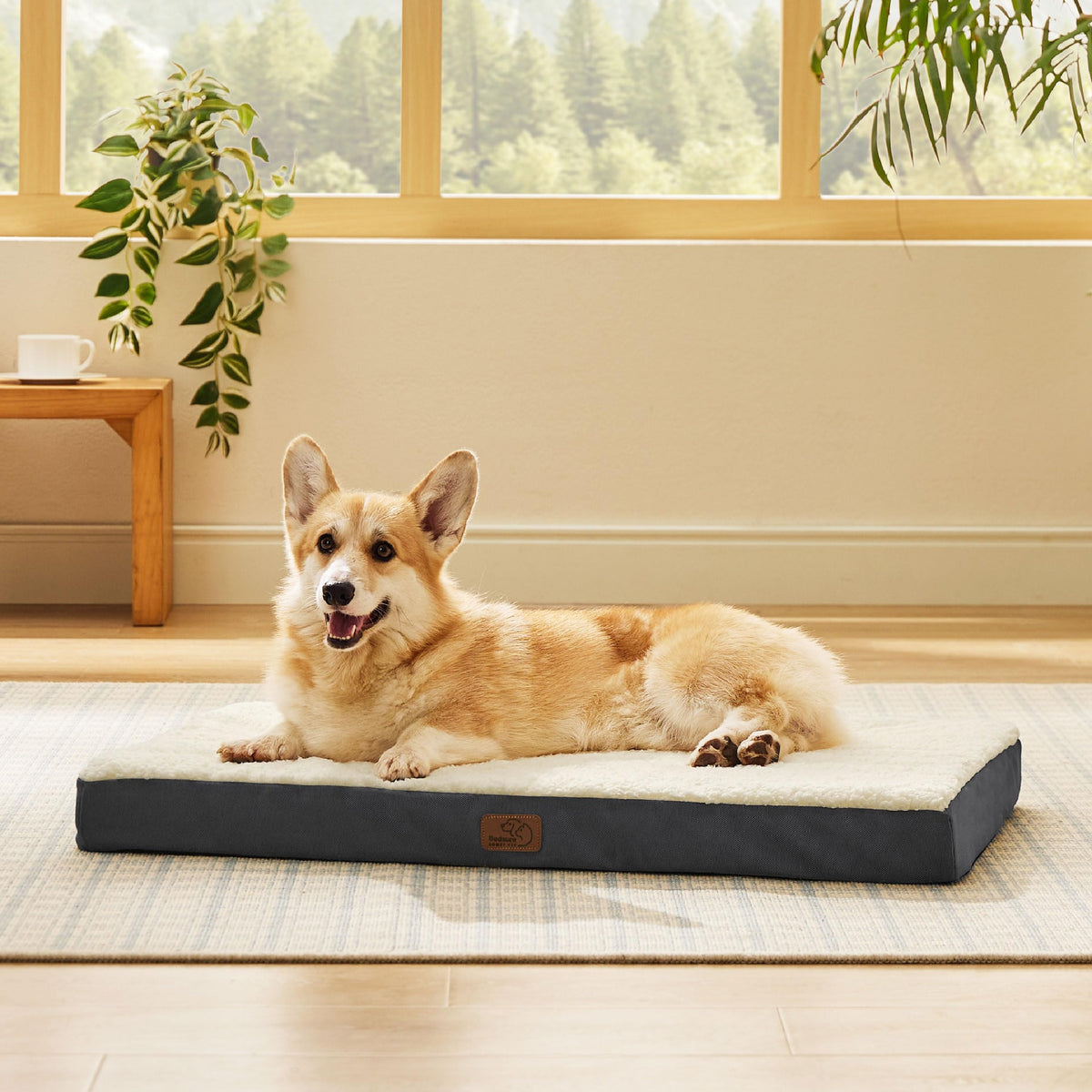 Bedsure Washable Dog Beds Large Sized Dog with Comfy Sherpa, 36x27in Grey
