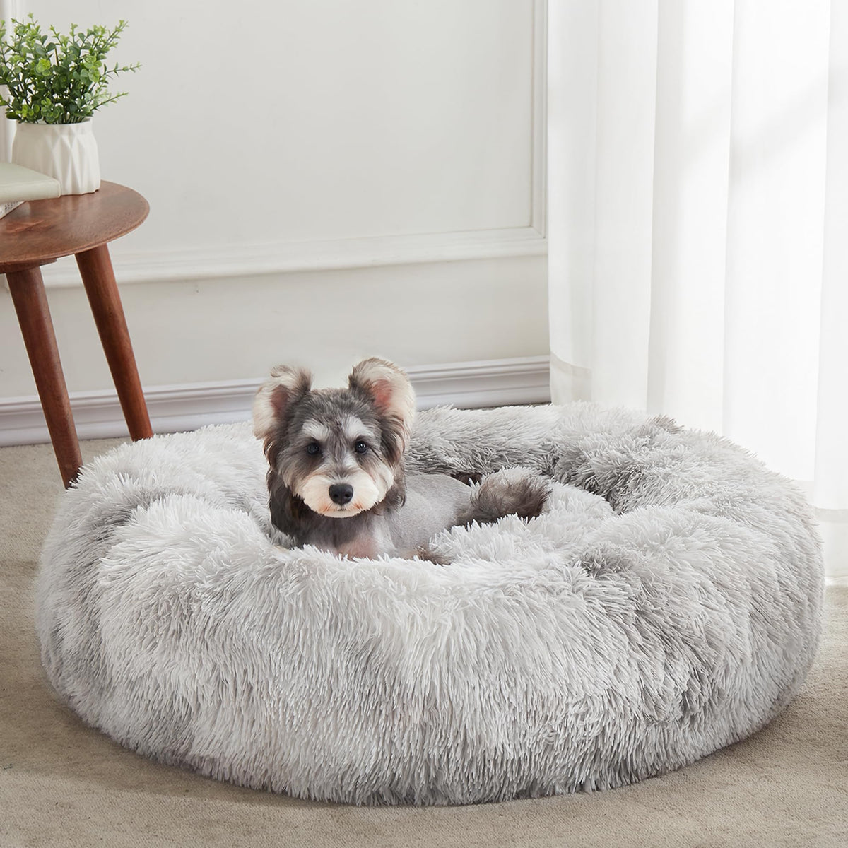 WESTERN HOME WH Calming Dog Bed & Cat Bed Washable Puppy Bed,24" Light Grey