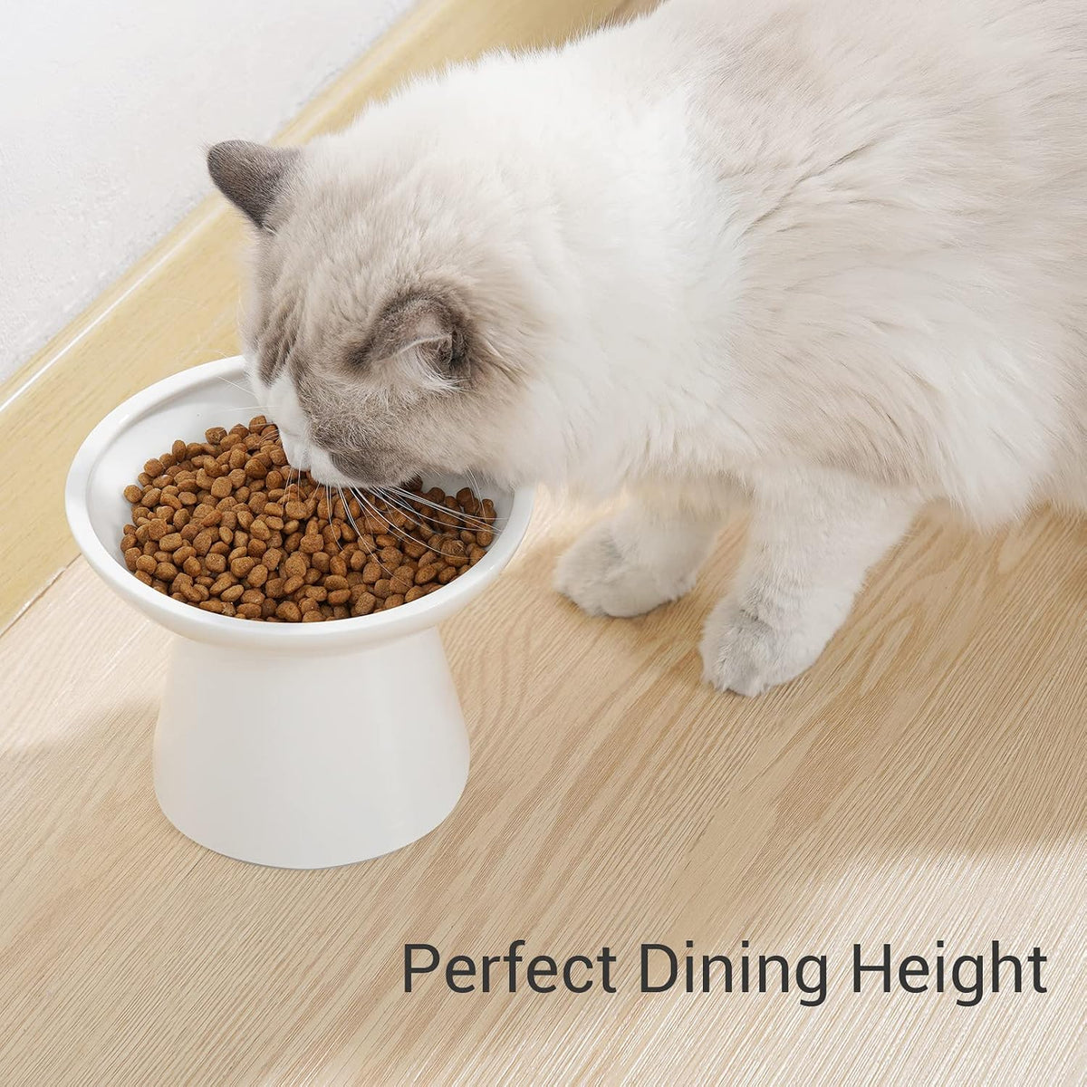 CEEFU Extra Wide Elevated Ceramic 6.2" Shallow Cat Food Bowl