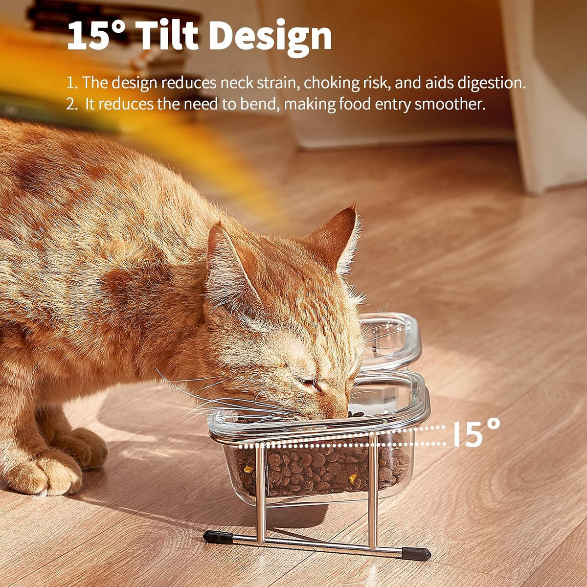 Elevated Cat Bowls, 15° Tilted Glass Raised Cat Food and Water Bowl