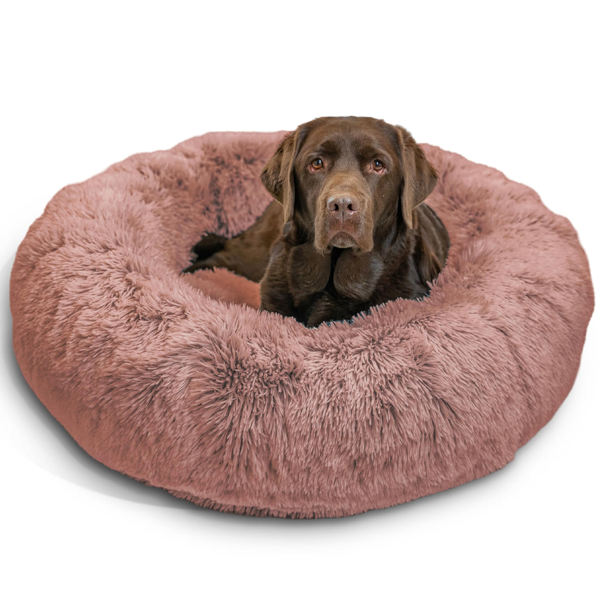 Best Friends by Sheri Original Calming Donut Dog Bed, Oyster, Small, 23"