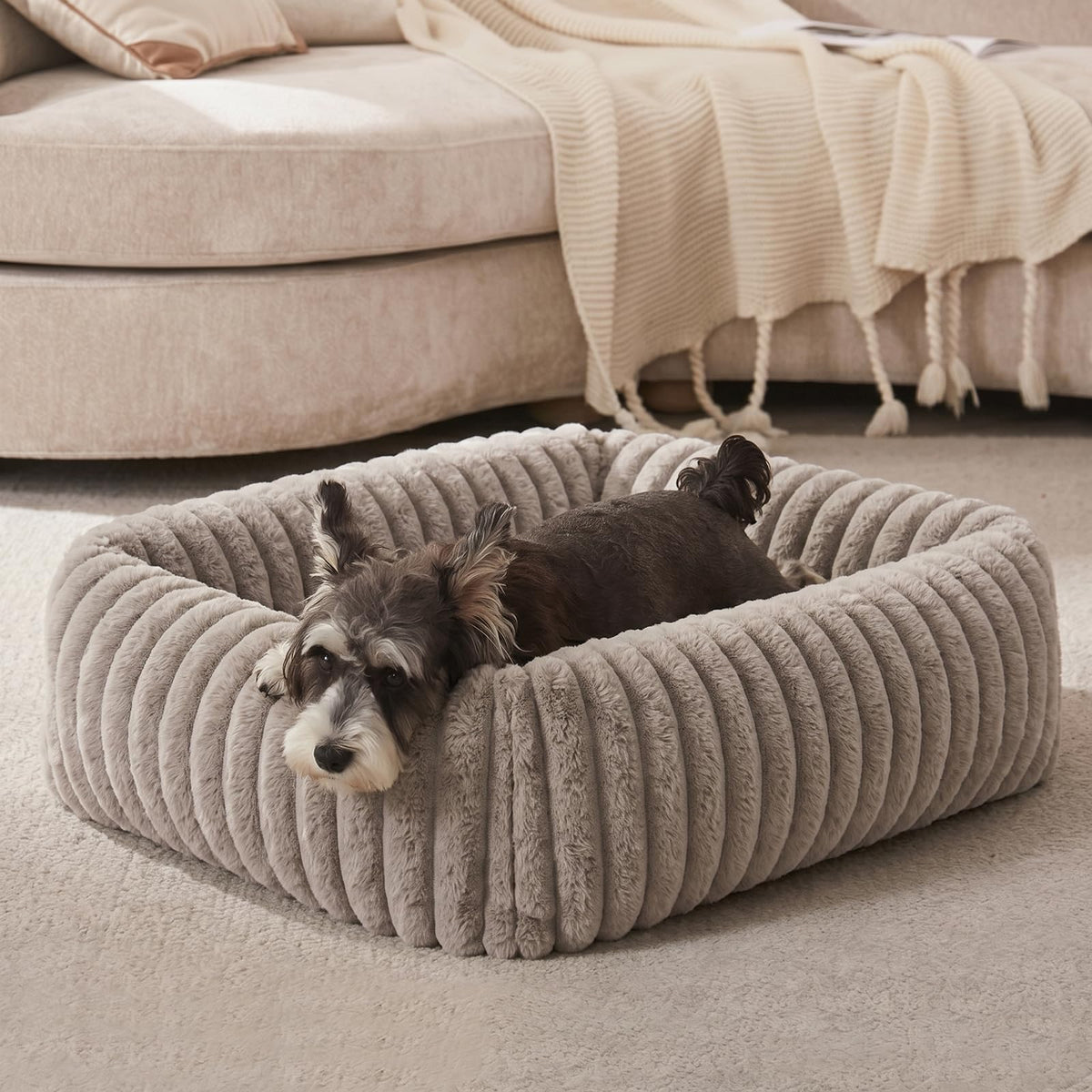 FURTIME Washable Dog Bed for Small Dogs, Cat Beds for Indoor Cats, 20"