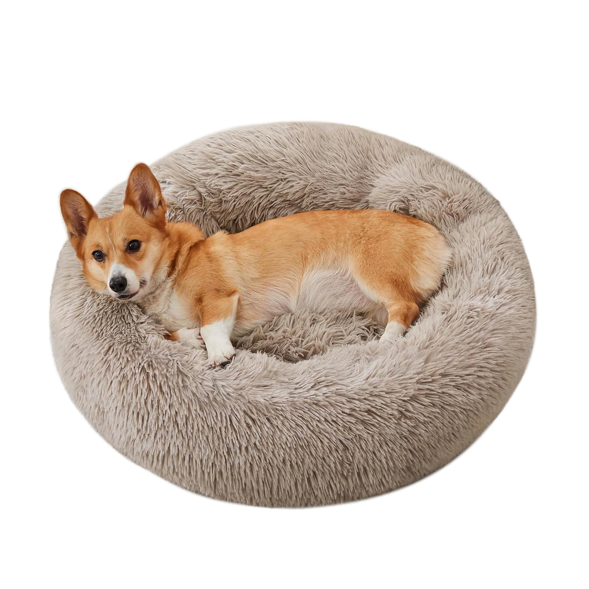 WESTERN HOME WH Calming Dog Bed & Cat Bed Washable Puppy Bed,24" Light Grey