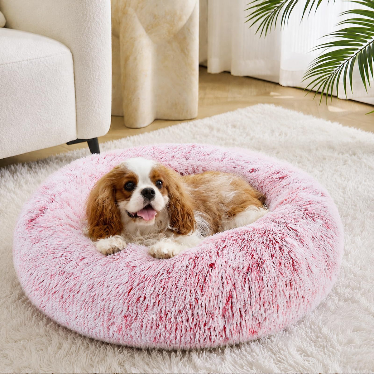 JOLLYVOGUE Small Dog Bed, Calming Dog Beds for Small Dogs & Indoor Cats - 20 Inches Donut Washable Cat Bed for Kittens & Puppies, Round Fluffy Plush Faux Fur Pet Beds(Smoke Grey)