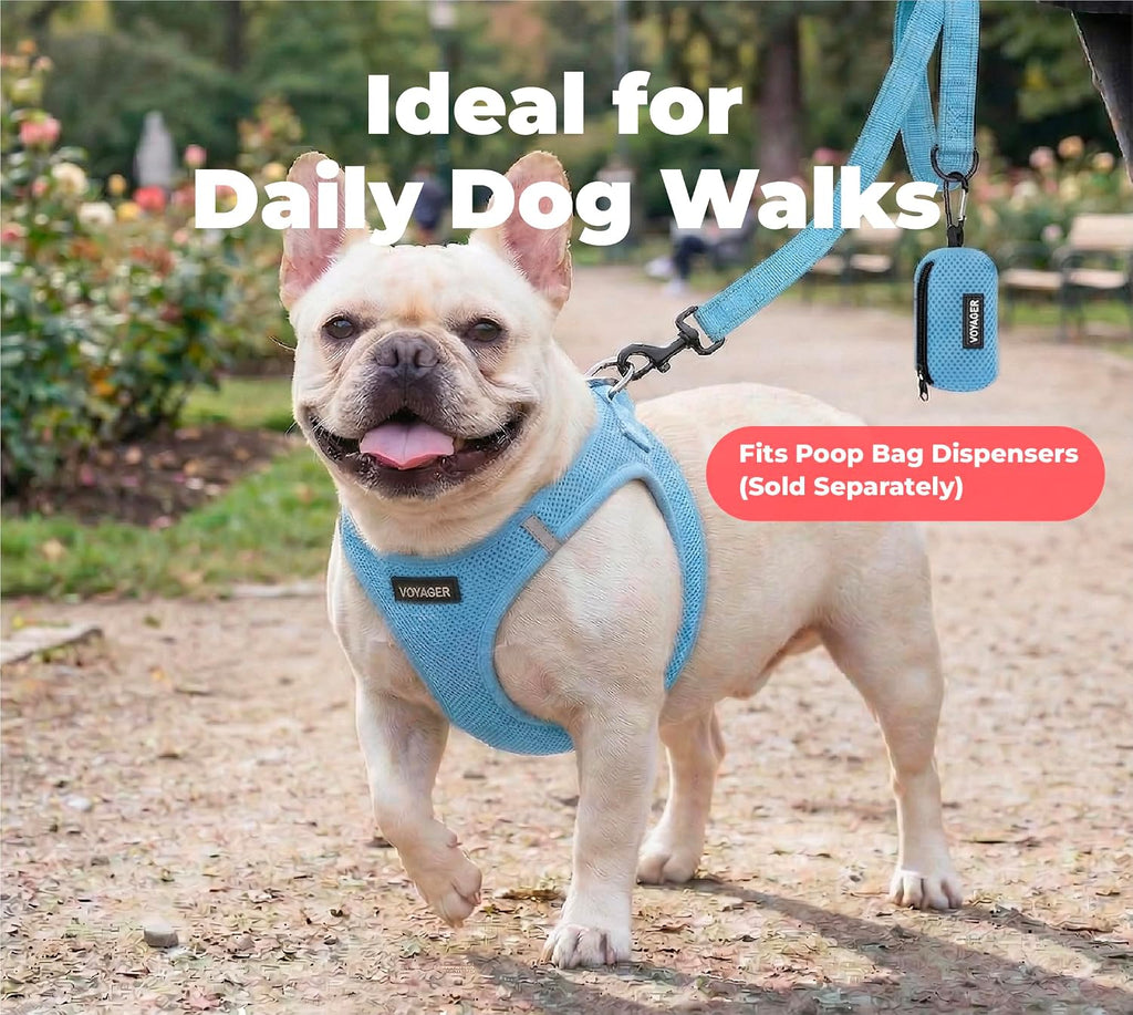 Best Pet Supplies Voyager Nylon Dog Leash - Baby Blue, Small