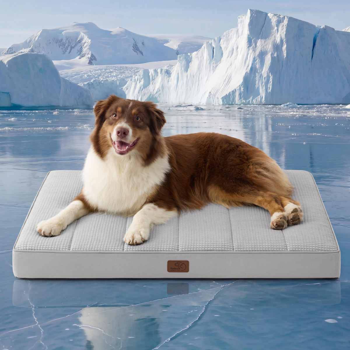 Bedsure Washable Dog Beds Large Sized Dog with Comfy Sherpa, 36x27in Grey