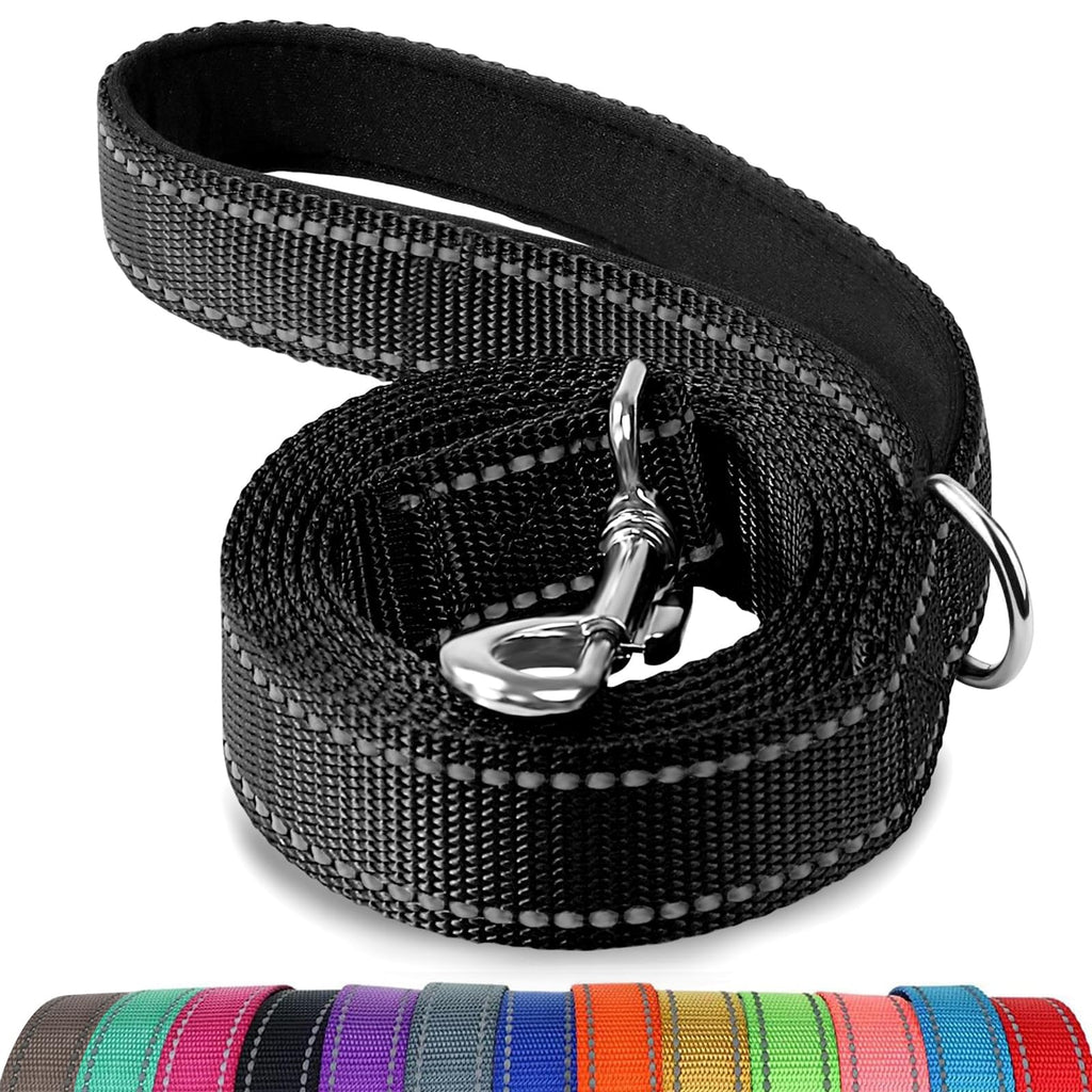 Joytale Reflective Dog Leash for Medium & Large Dogs, 6 FT x 1", Turquoise