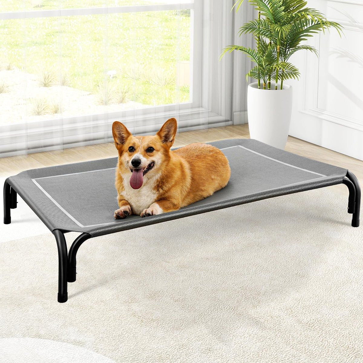 Czpalo Outdoor Elevated Dog Bed for Large Sized Dogs, No-Tool Assembly.