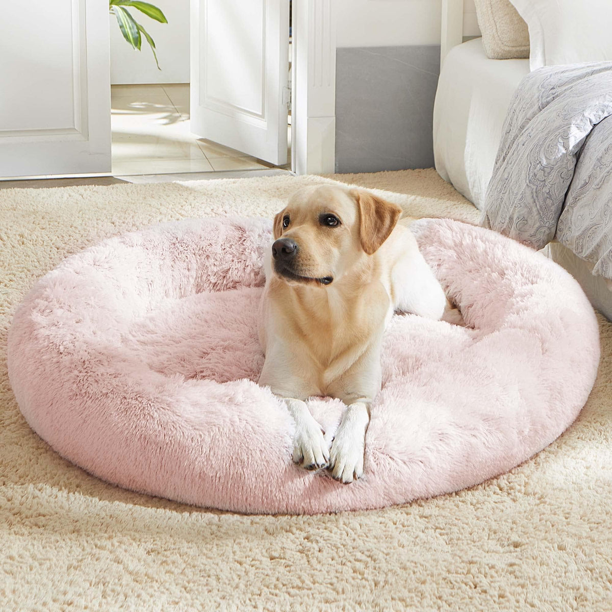 WESTERN HOME WH Calming Dog Bed & Cat Bed Washable Puppy Bed,24" Light Grey