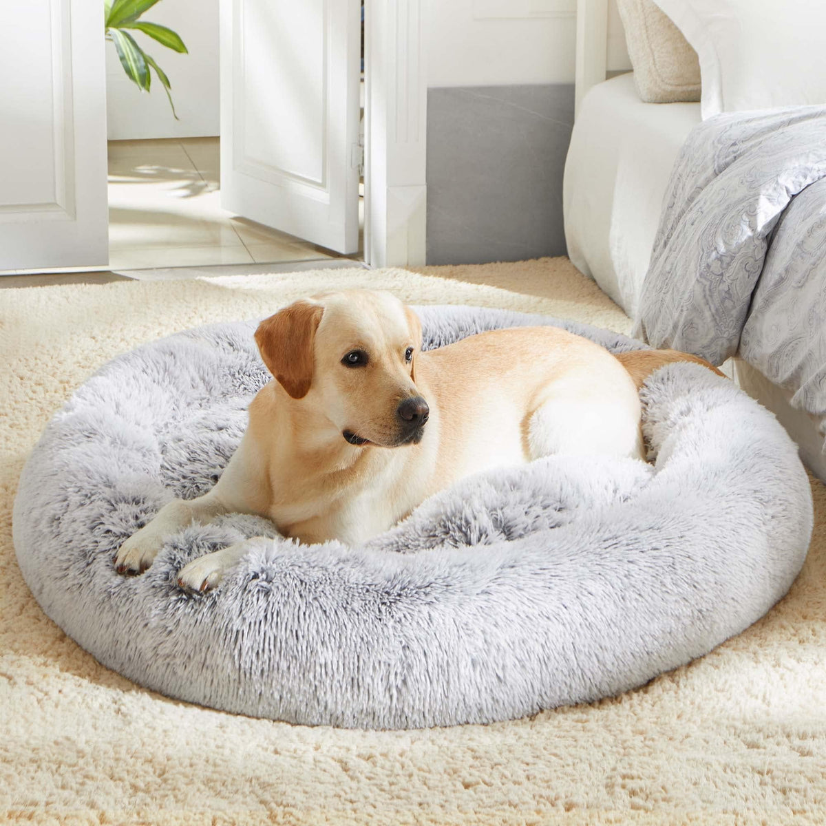WESTERN HOME WH Calming Soft Round Dog &Cat Bed Small Dog Bed Washable,20"