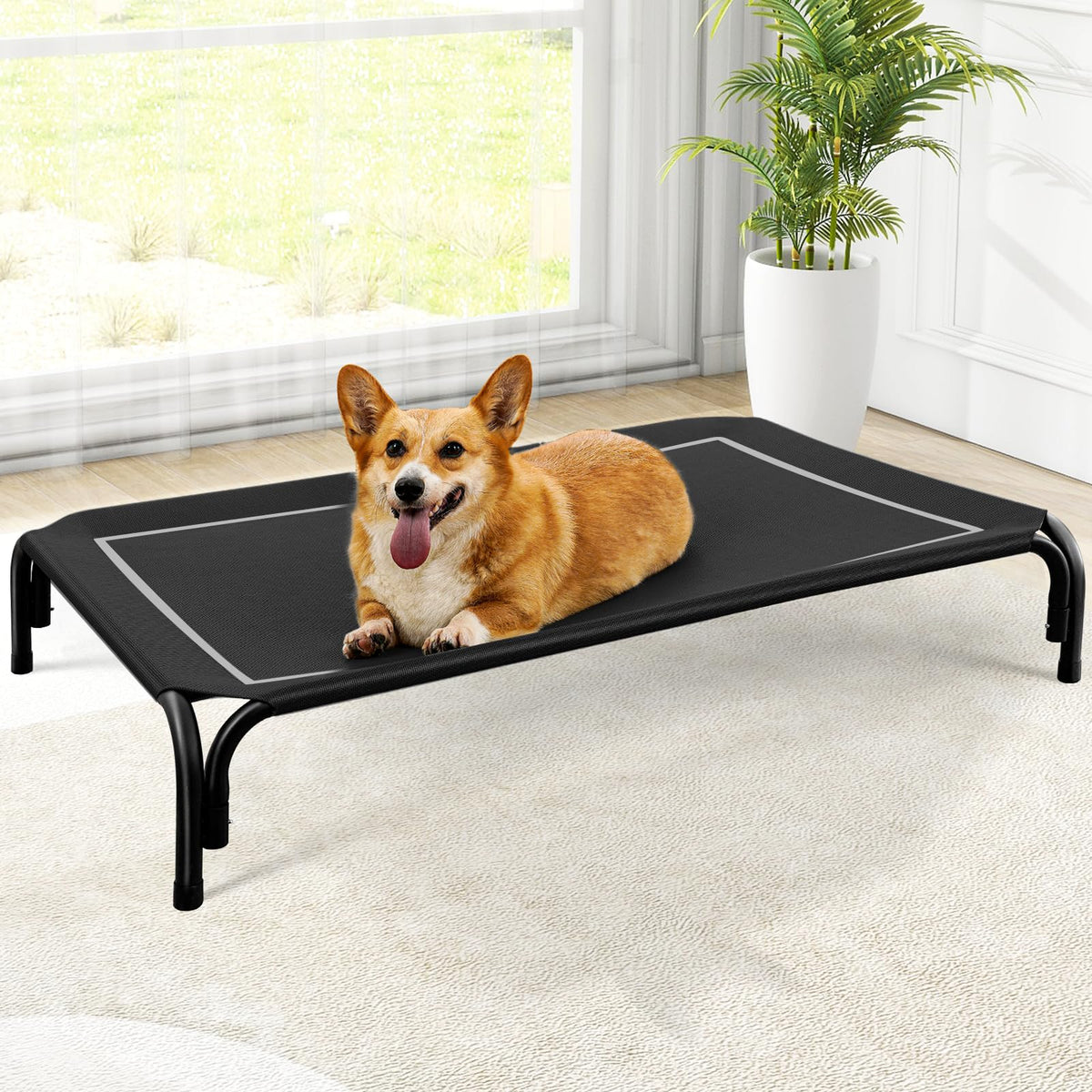 Czpalo Outdoor Elevated Dog Bed for Large Sized Dogs, No-Tool Assembly.
