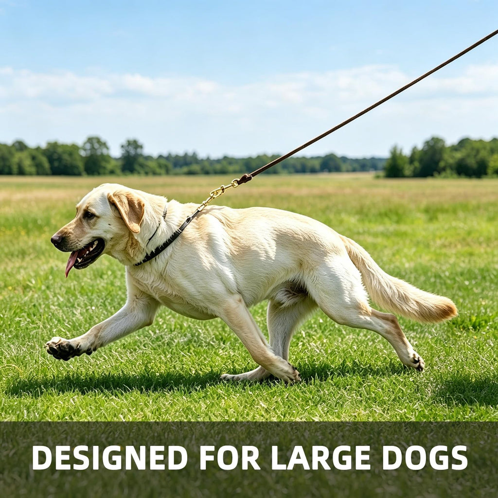 6ft Heavy Duty Leather Dog Leash,Pet Training Leash for Large, Medium Dogs