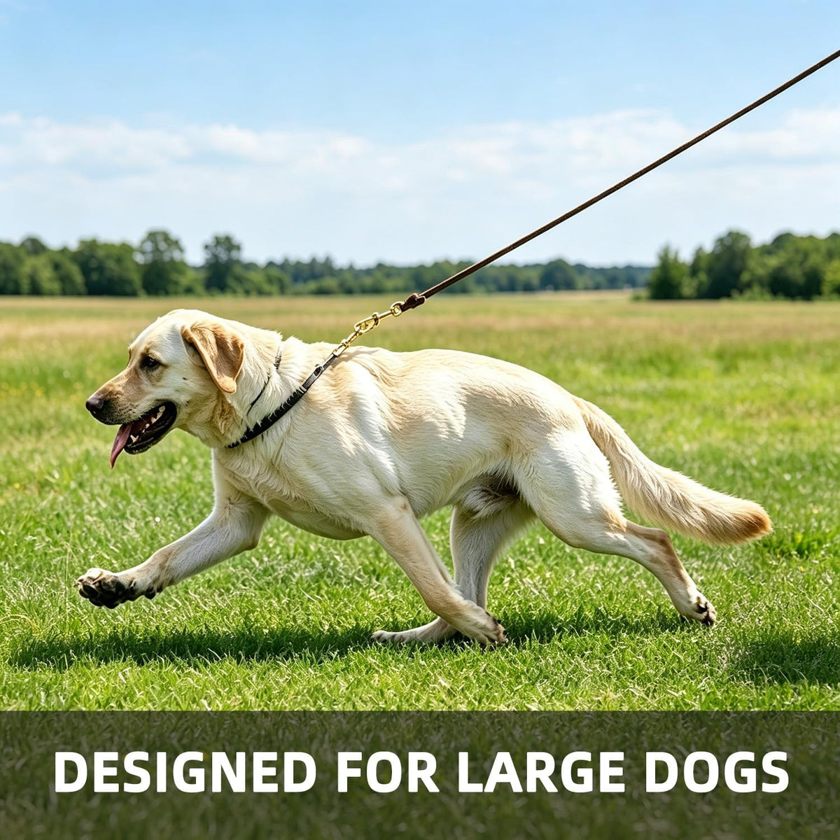 6ft Heavy Duty Leather Dog Leash,Pet Training Leash for Large, Medium Dogs
