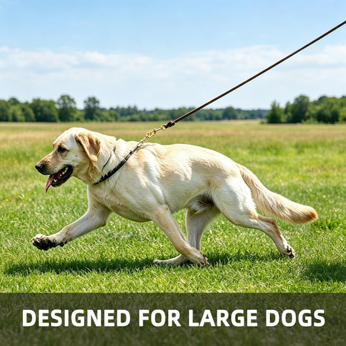 6ft Heavy Duty Leather Dog Leash,Pet Training Leash for Large, Medium Dogs
