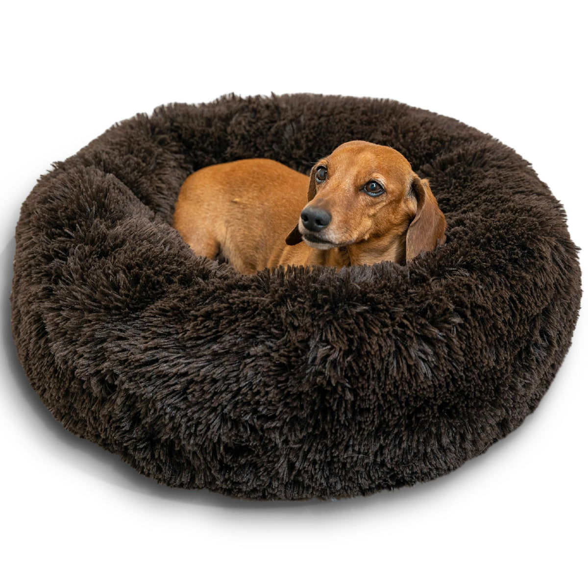 Best Friends by Sheri Original Calming Donut Dog Bed, Oyster, Small, 23"