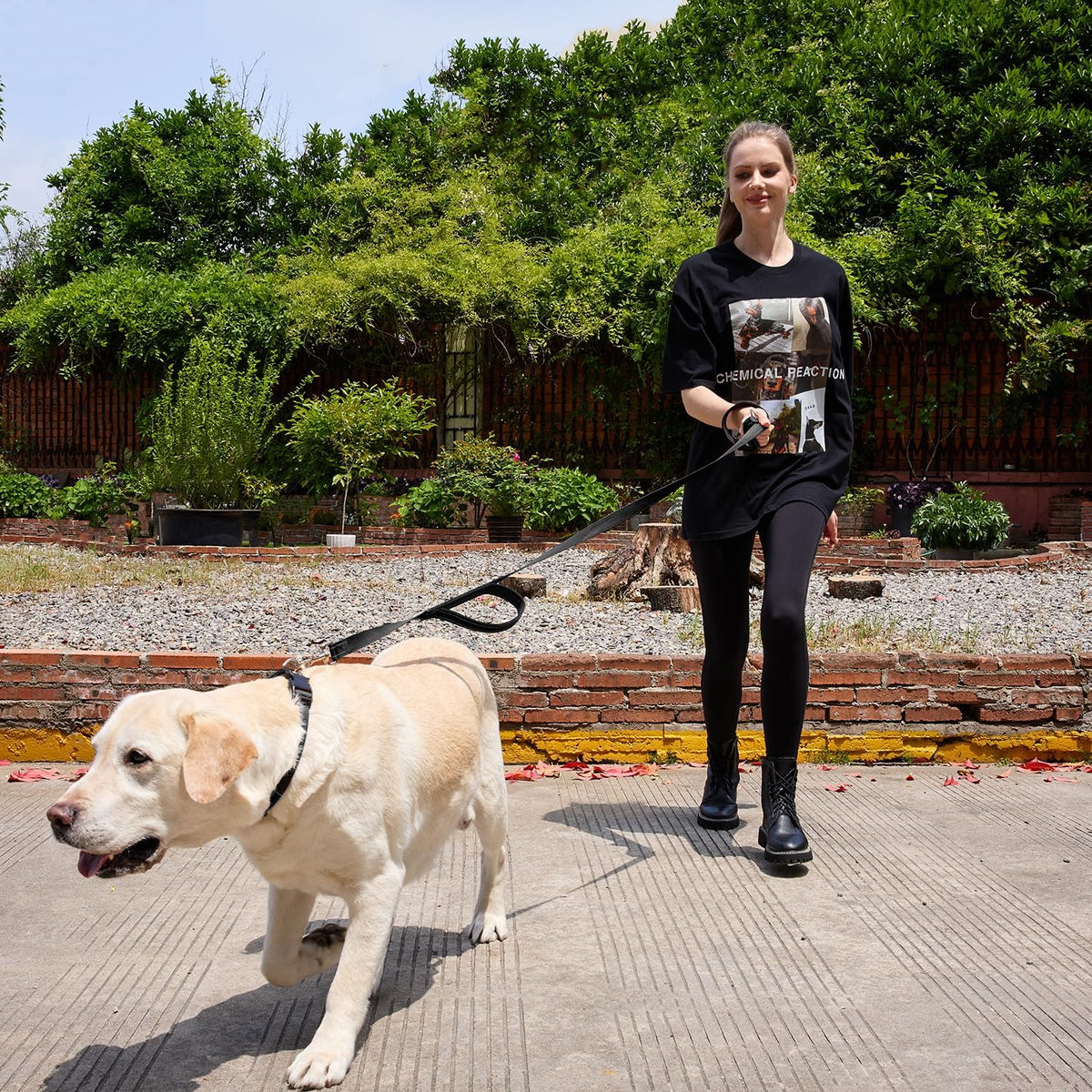 6 FT Black Nylon Reflective Dog Leash for Large Dogs with 2 Padded Handle