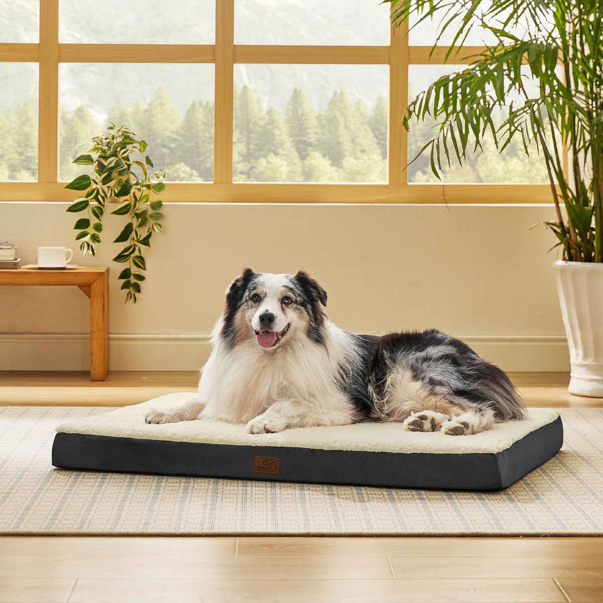 Bedsure Washable Dog Beds Large Sized Dog with Comfy Sherpa, 36x27in Grey